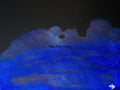 Acrylic Original Painting "The Camels that Drank the Sky" Garden of the Gods Kissing Camels filled by the night sky